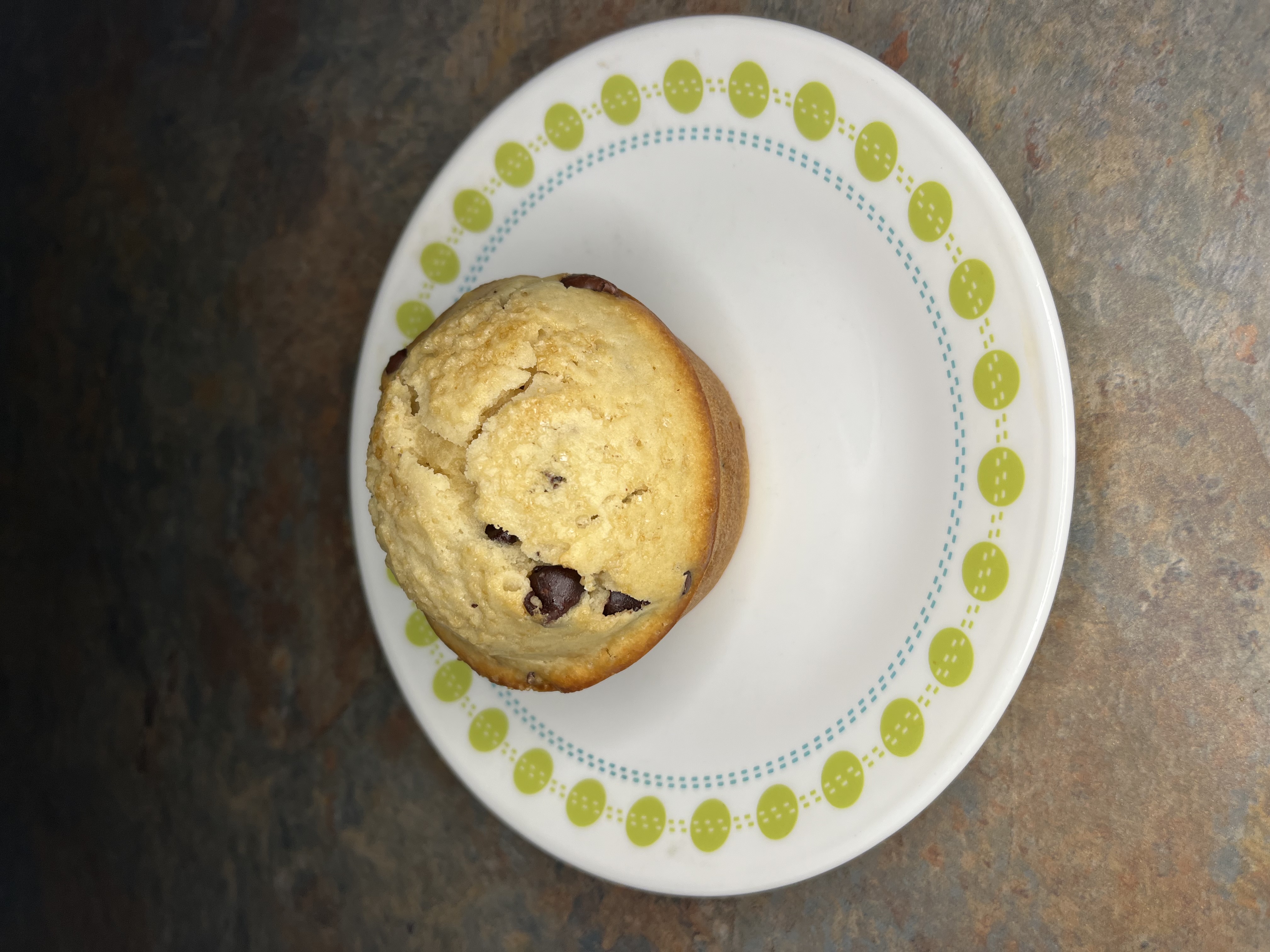 Chocolate Chip Muffin